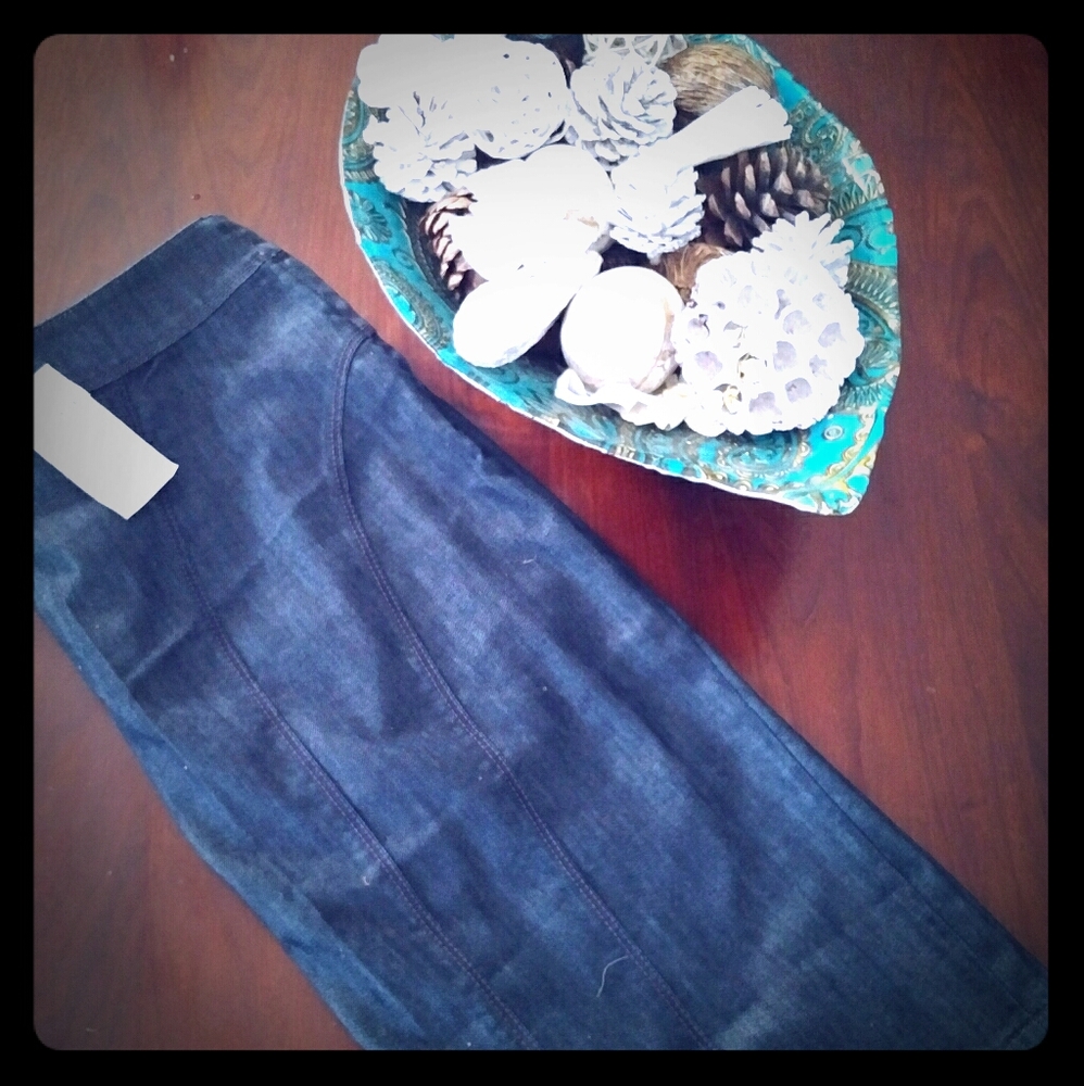 Ann Taylor Denim Jean Pencil Skirt